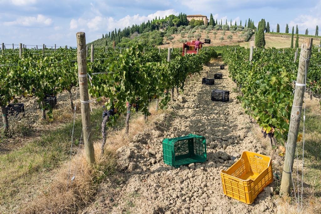 Bauernhof Dimore Wine Relais Argiano